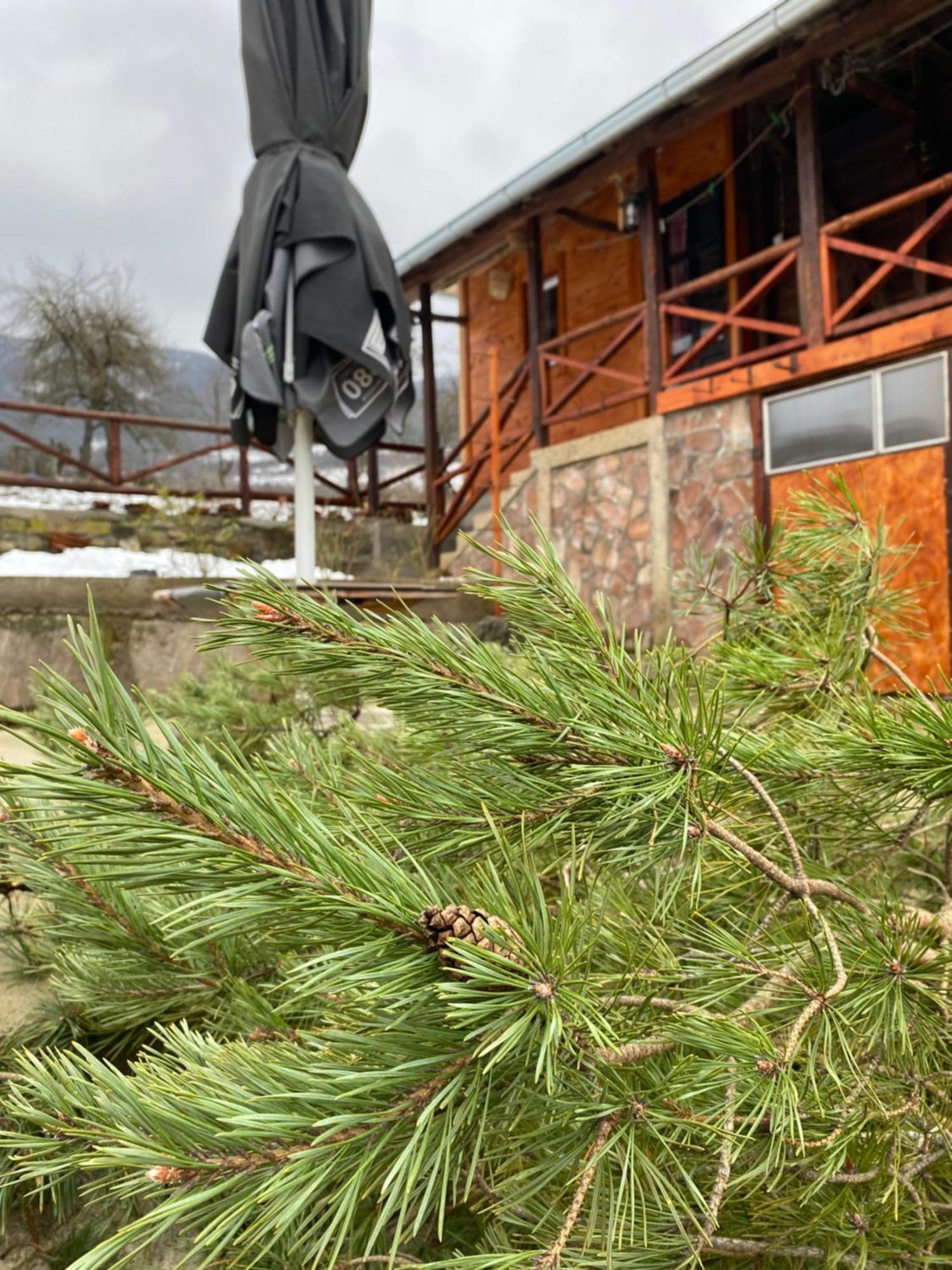 Seosko Turisticko Domacinstvo Stanisic Lägenhet Kalna Exteriör bild