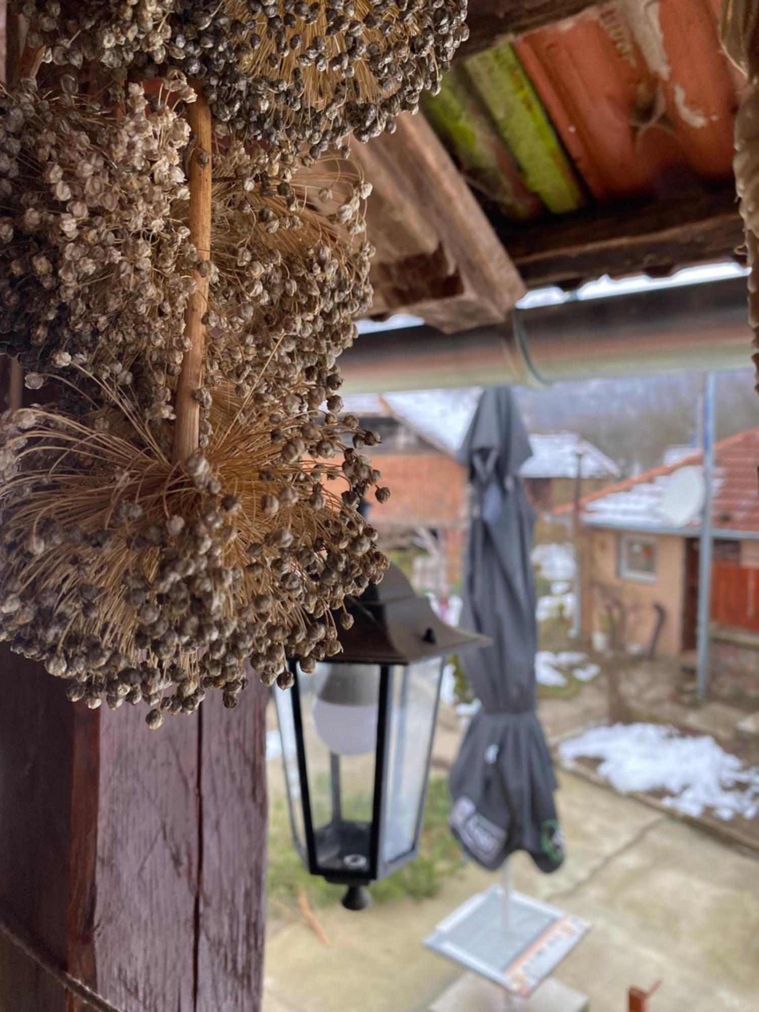 Seosko Turisticko Domacinstvo Stanisic Lägenhet Kalna Exteriör bild